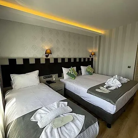 Old Viva Hotel Provincia di Istanbul