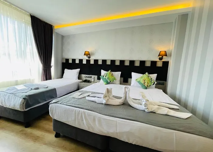 Old Viva מלון 3*