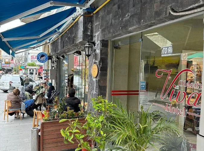 מלון Old Viva 3*